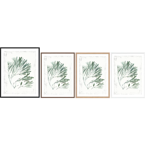 La Grolla Emerald Coral II Frame Wall Art