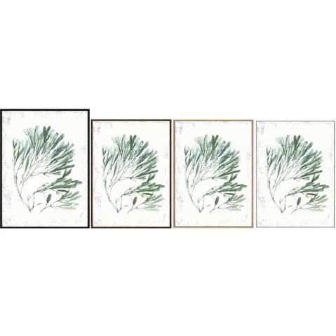 La Grolla Emerald Coral II Gallery Wall Art