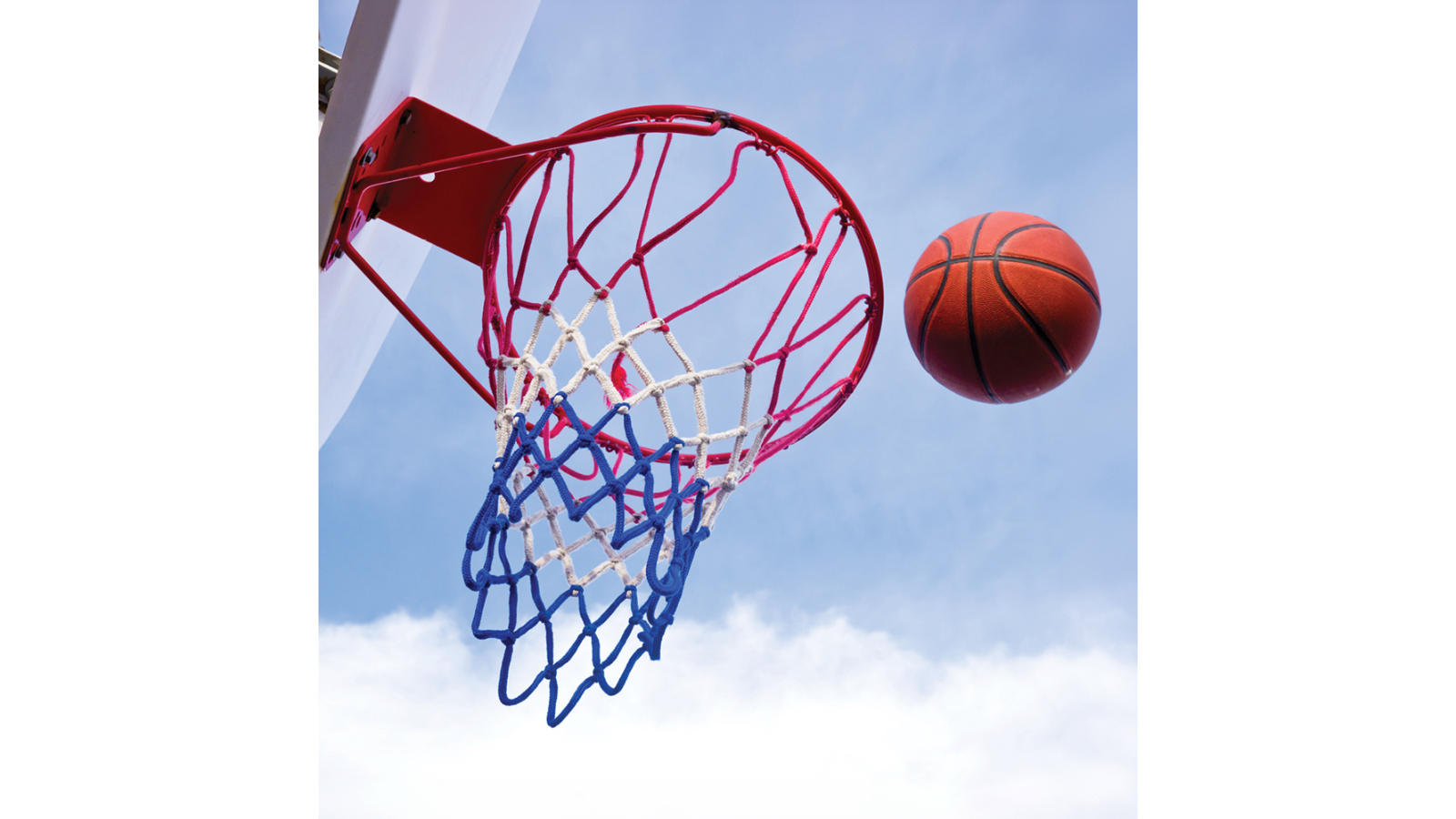 Professional basketball ring best sale