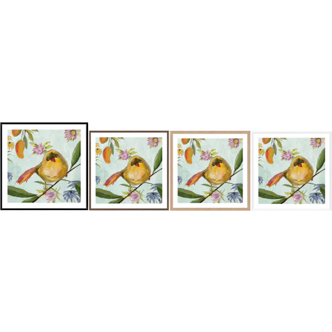 La Grolla Exquisite Bird of the Tropics I Frame Wall Art