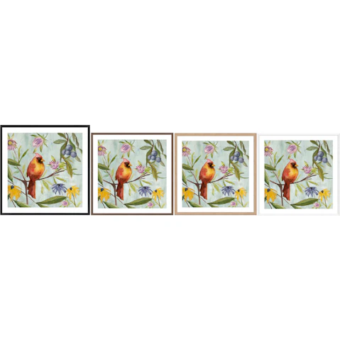 La Grolla Exquisite Bird of the Tropics II Frame Wall Art