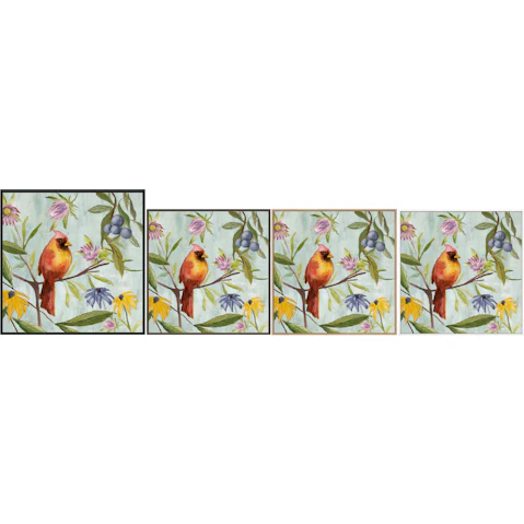 La Grolla Exquisite Bird of the Tropics II Gallery Wall Art