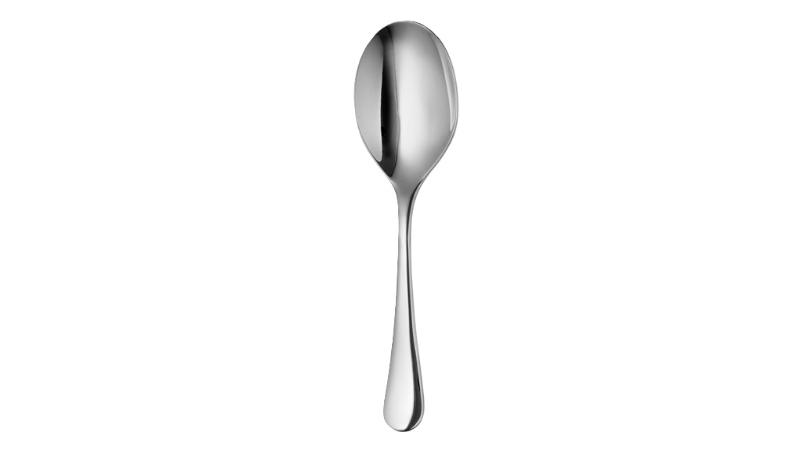 Robert Welch Radford Gourmet Serving Spoon