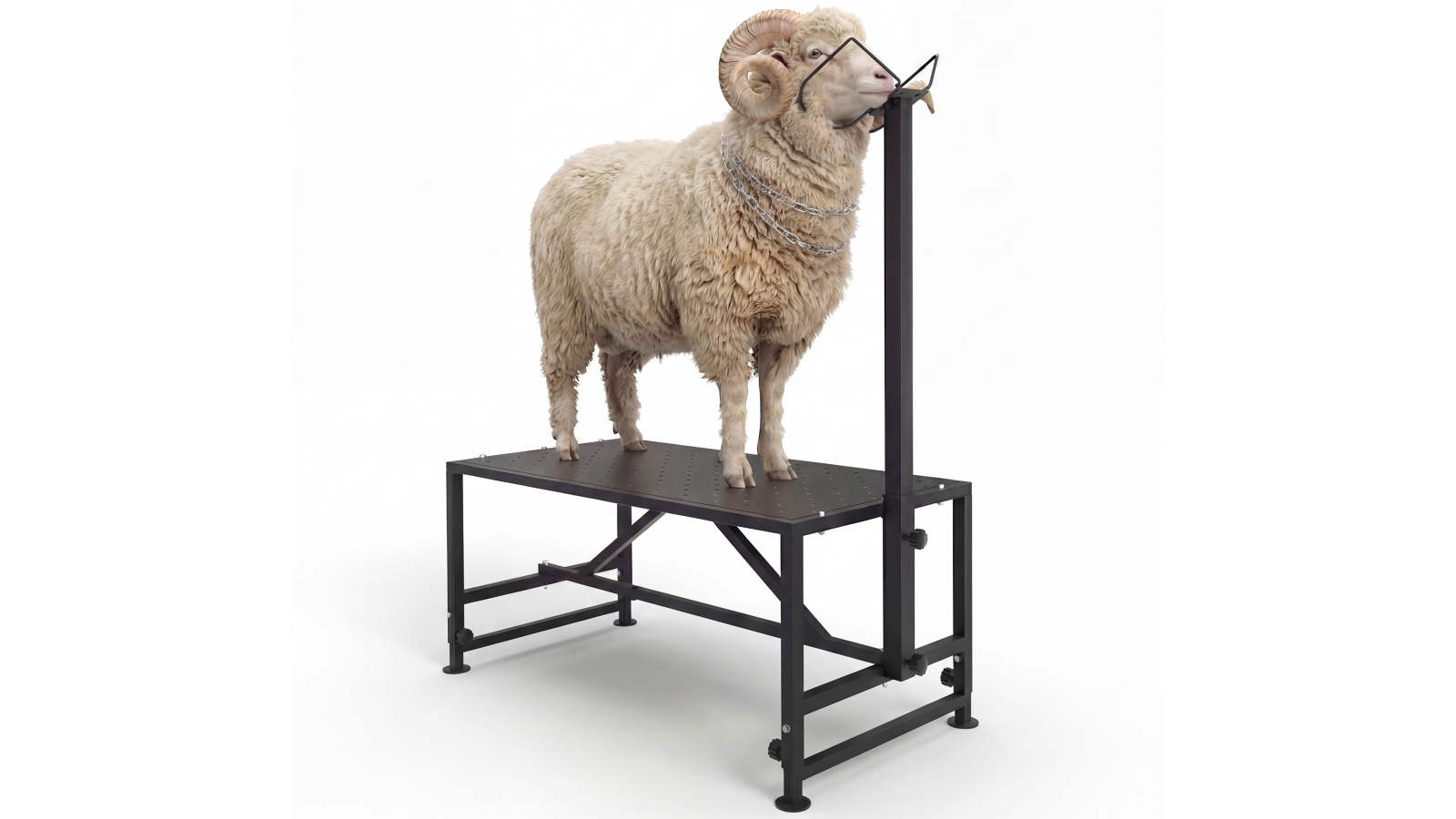 Advwin Livestock Stand Goat Trimming Stand with Height Adjustable