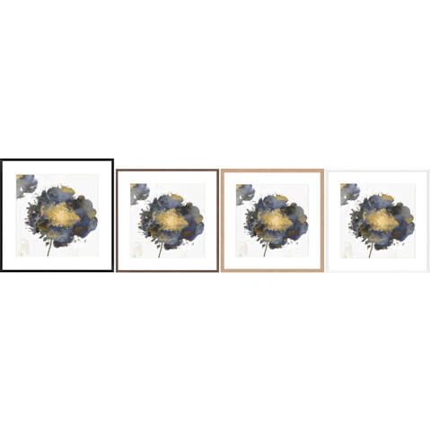 La Grolla Flower Burst II Frame Wall Art