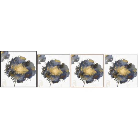 La Grolla Flower Burst II Gallery Wall Art