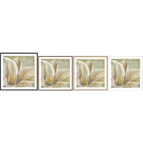 La Grolla Fresh Bloom I Frame Wall Art
