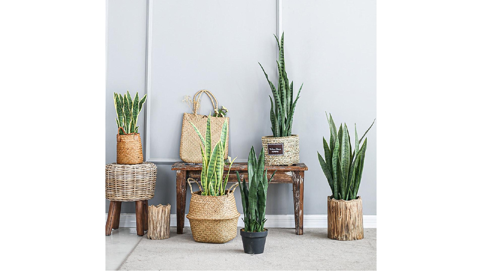 SOGA 4X 97cm Artificial Snake Plant Harvey Norman