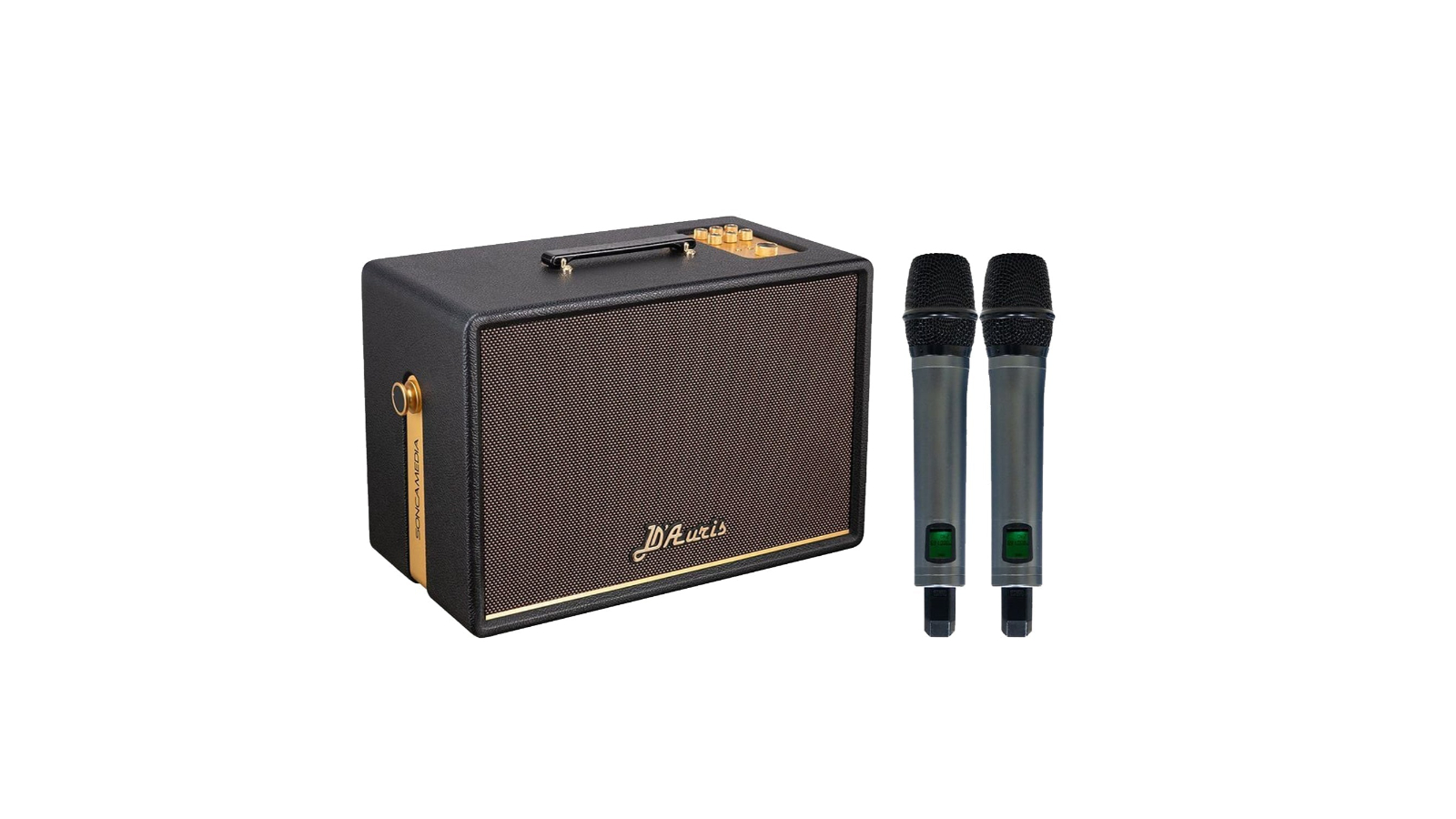 SONCAMEDIA DAURIS300 Premium Karaoke Sound System