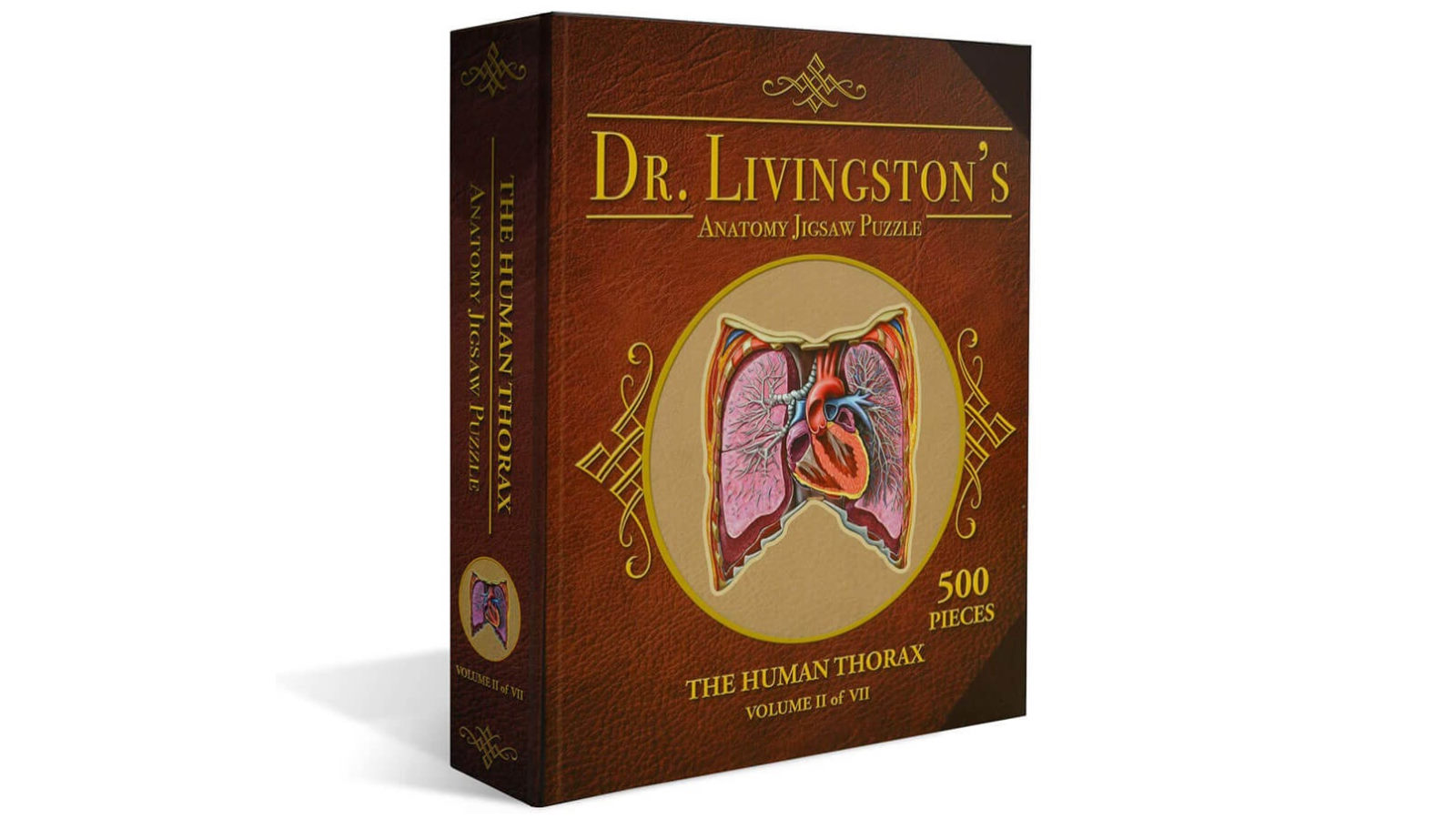 Dr. Livingston's Anatomy Jigsaw Puzzle the Human Thorax