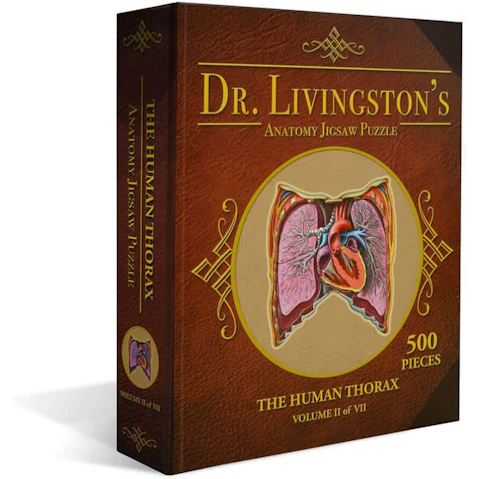 Dr. Livingston's Anatomy Jigsaw Puzzle the Human Thorax