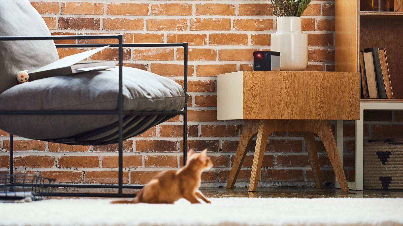 PetCube Play 2 Smart HD Pet Camera with Laser Toy Harvey Norman