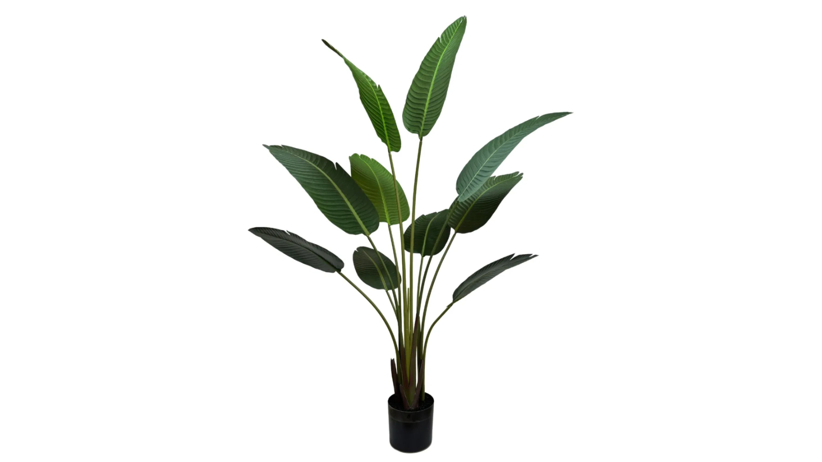Designer Plants Grand Artificial Potted Travelers Banana Palm Tree - 160cm