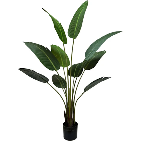 Designer Plants Grand Artificial Potted Travelers Banana Palm Tree - 160cm