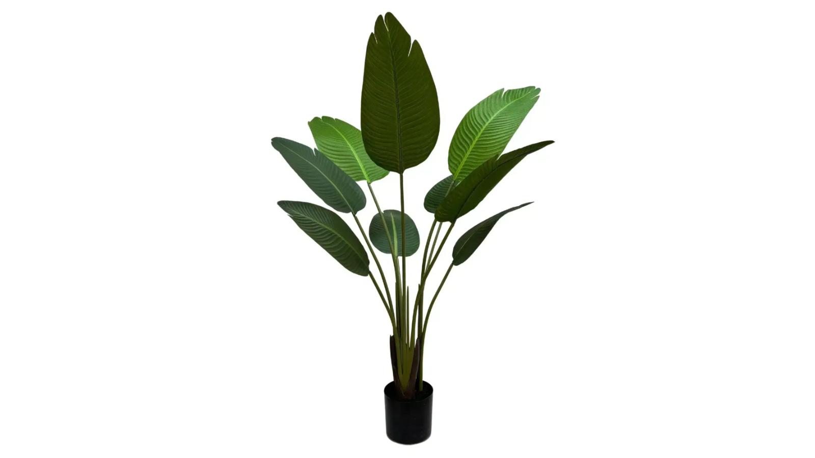 Designer Plants Grand Artificial Potted Travelers Banana Palm Tree - 120cm