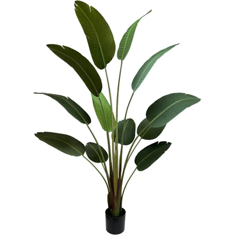 Designer Plants Grand Artificial Potted Travelers Banana Palm Tree - 180cm