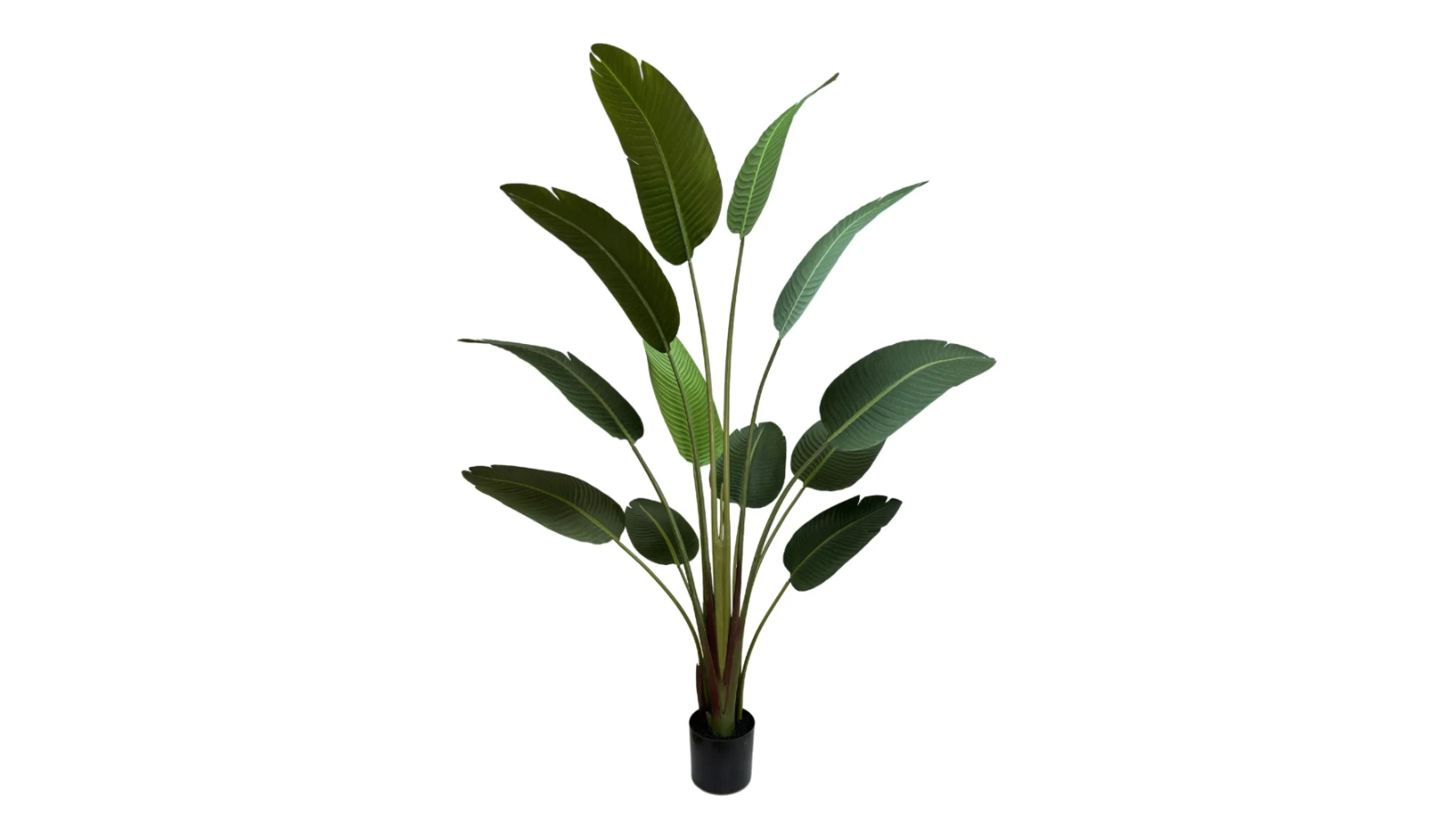 Designer Plants Grand Artificial Potted Travelers Banana Palm Tree