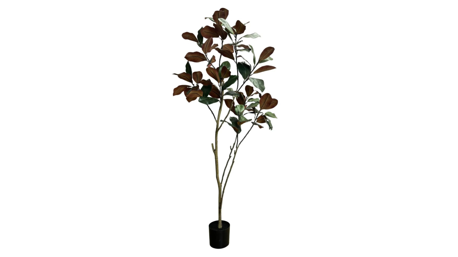 Designer Plants Potted Artificial Magnolia Tree - 180cm