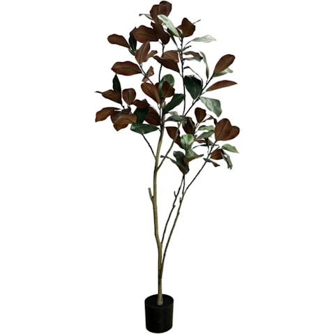 Designer Plants Potted Artificial Magnolia Tree - 180cm