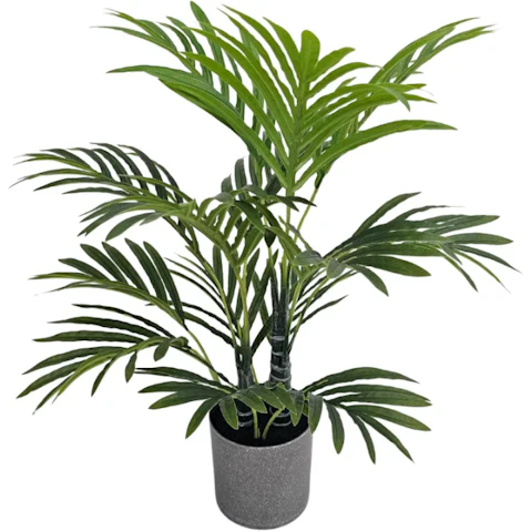 Designer Plants Premium Artificial Potted Premium Mini Palm Tree - 55cm