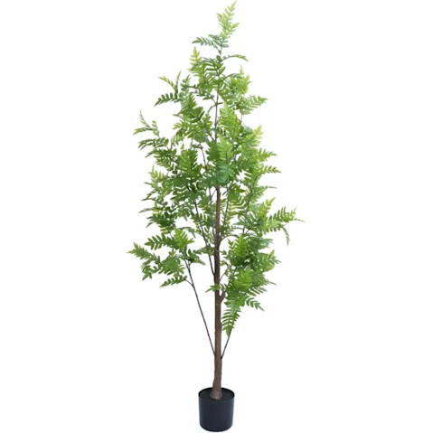 Designer Plants Premium Artificial Bracken Palm Tree - 180cm