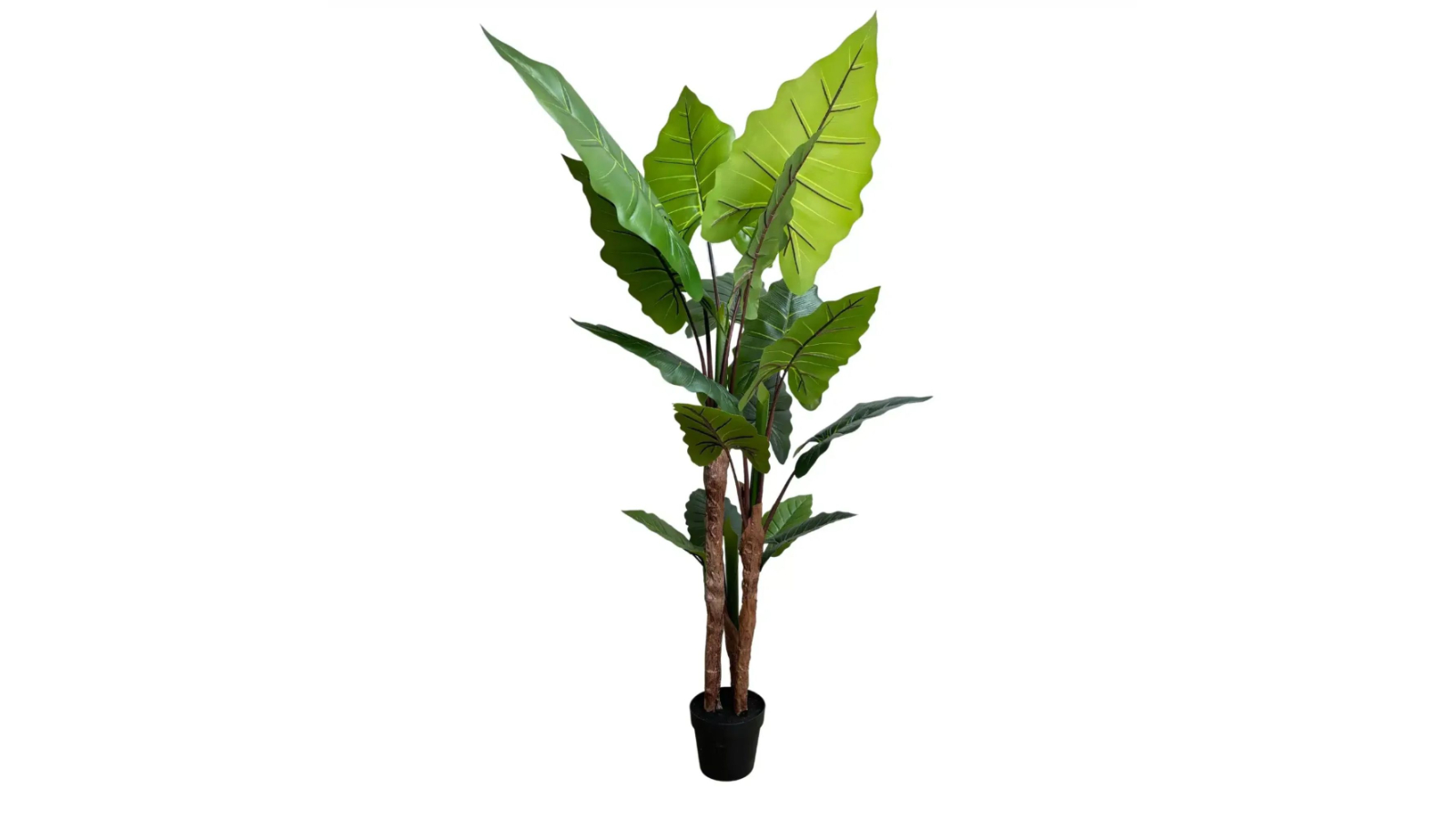 Designer Plants Natural Artificial Tall Taro Plant - 170cm