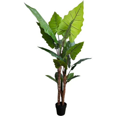 Designer Plants Natural Artificial Tall Taro Plant - 170cm