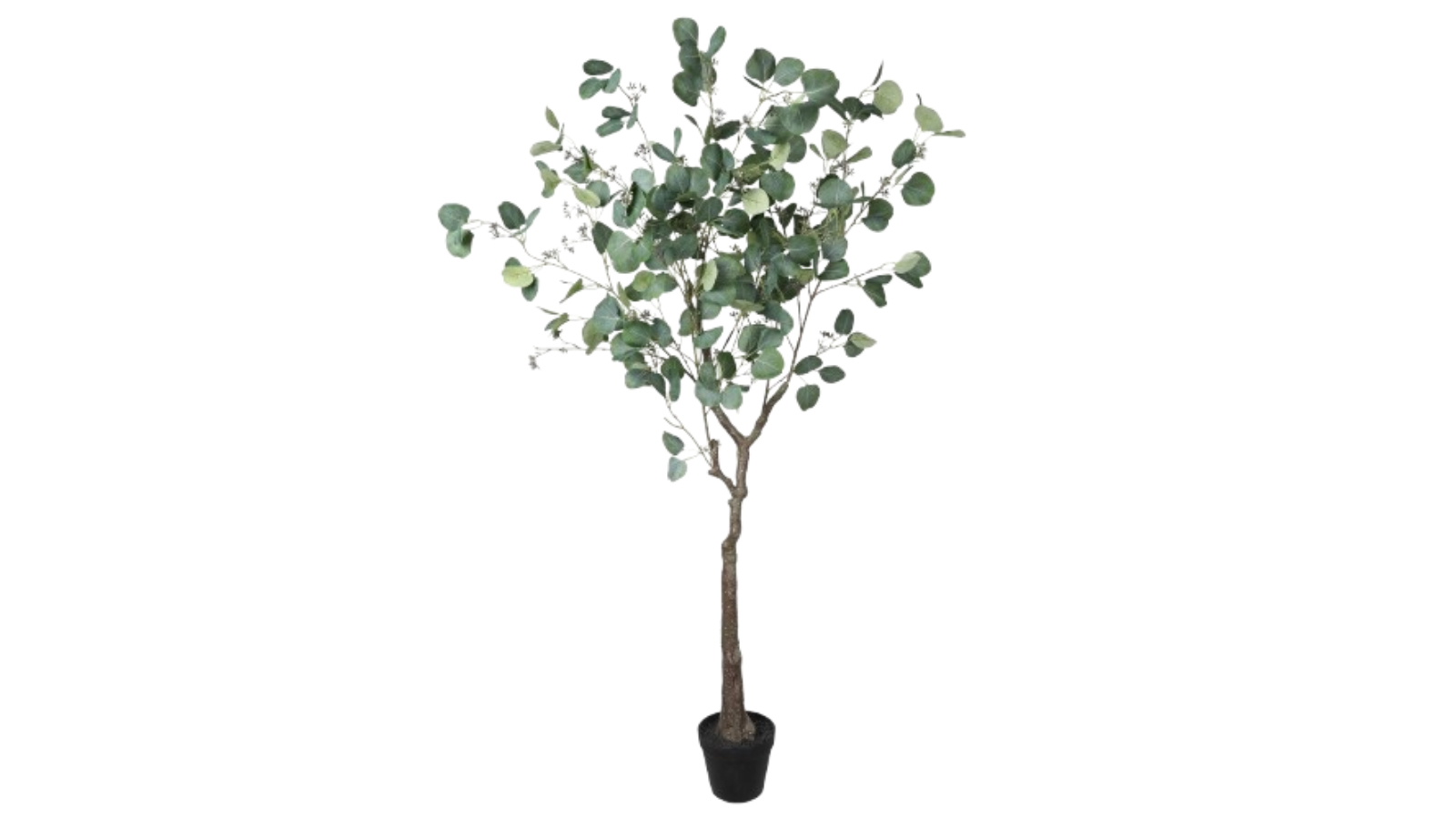 Designer Plants Artificial Red Box Polyanthemos Eucalyptus Tree - 150cm