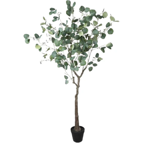Designer Plants Artificial Red Box Polyanthemos Eucalyptus Tree - 150cm