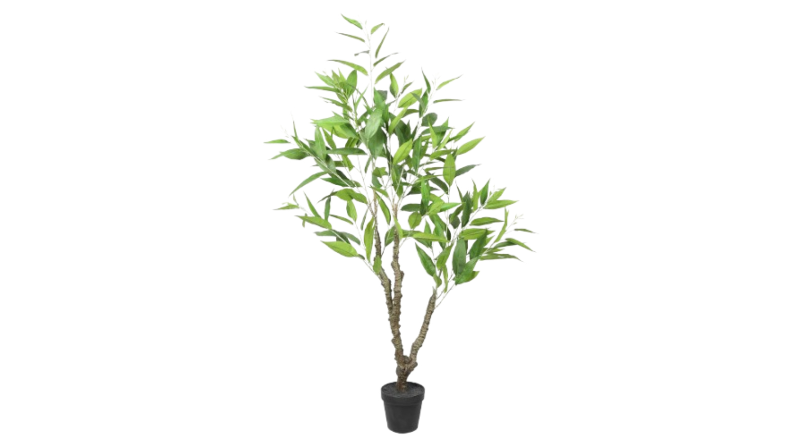 Designer Plants Artificial White Box Albens Potted Eucalyptus Tree - 110cm