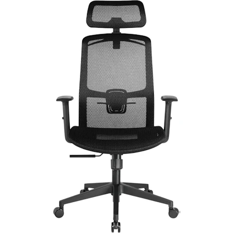 Desky Adjustable High Back Mesh Chair
