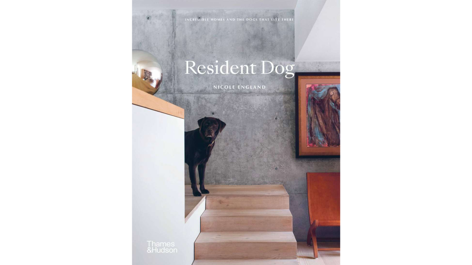 Sjg Books Resident Dog Photograph Book Designer Furniture - Nicole England
