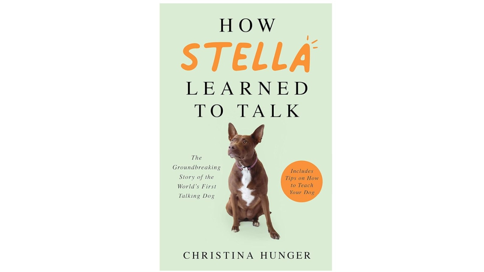 Hunger for Words How Stella Learned to talk