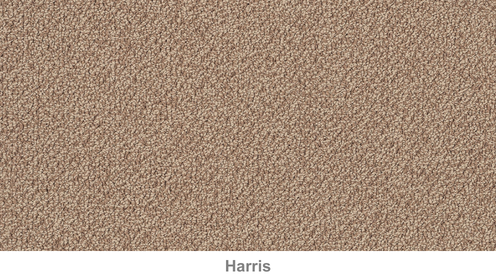 EC Carpets Lockwood Rise Carpet Harvey Norman