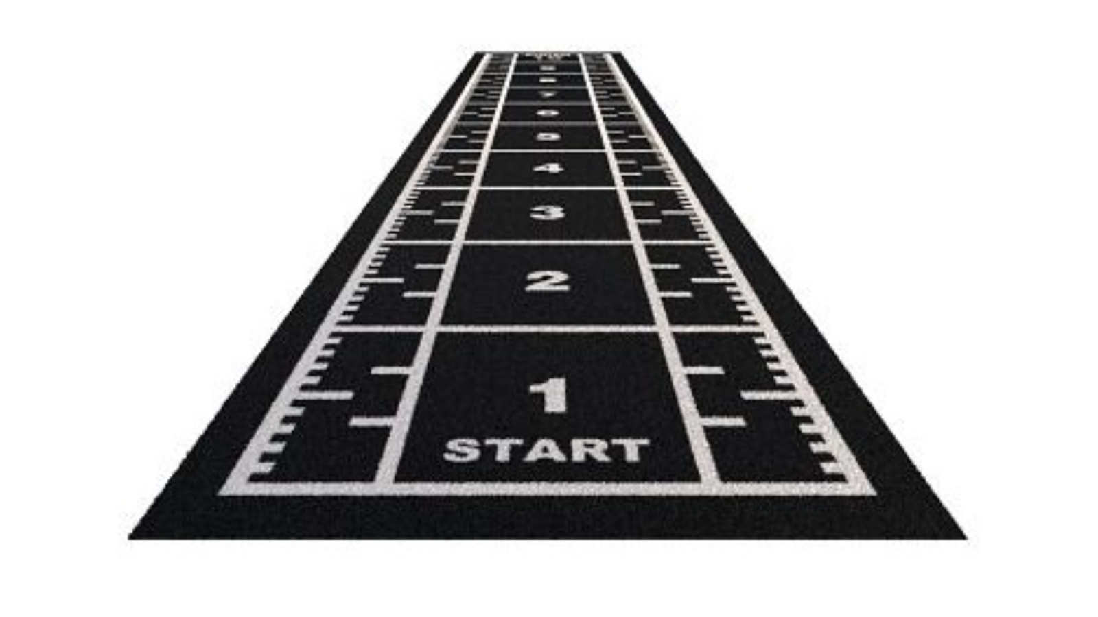 Fitness Hero 10 x 2metre Sled Astro Turf - Black