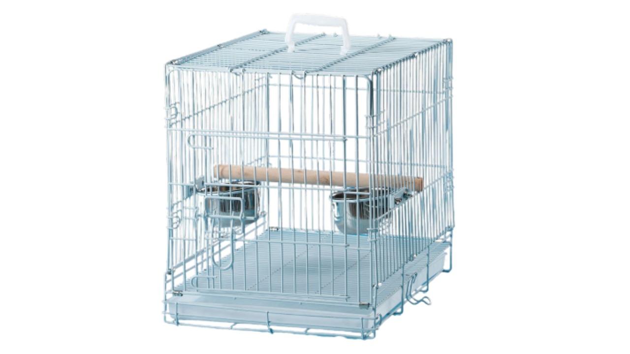 Flyline Collapsible Pet Carrier Travel Cage for Small Bird