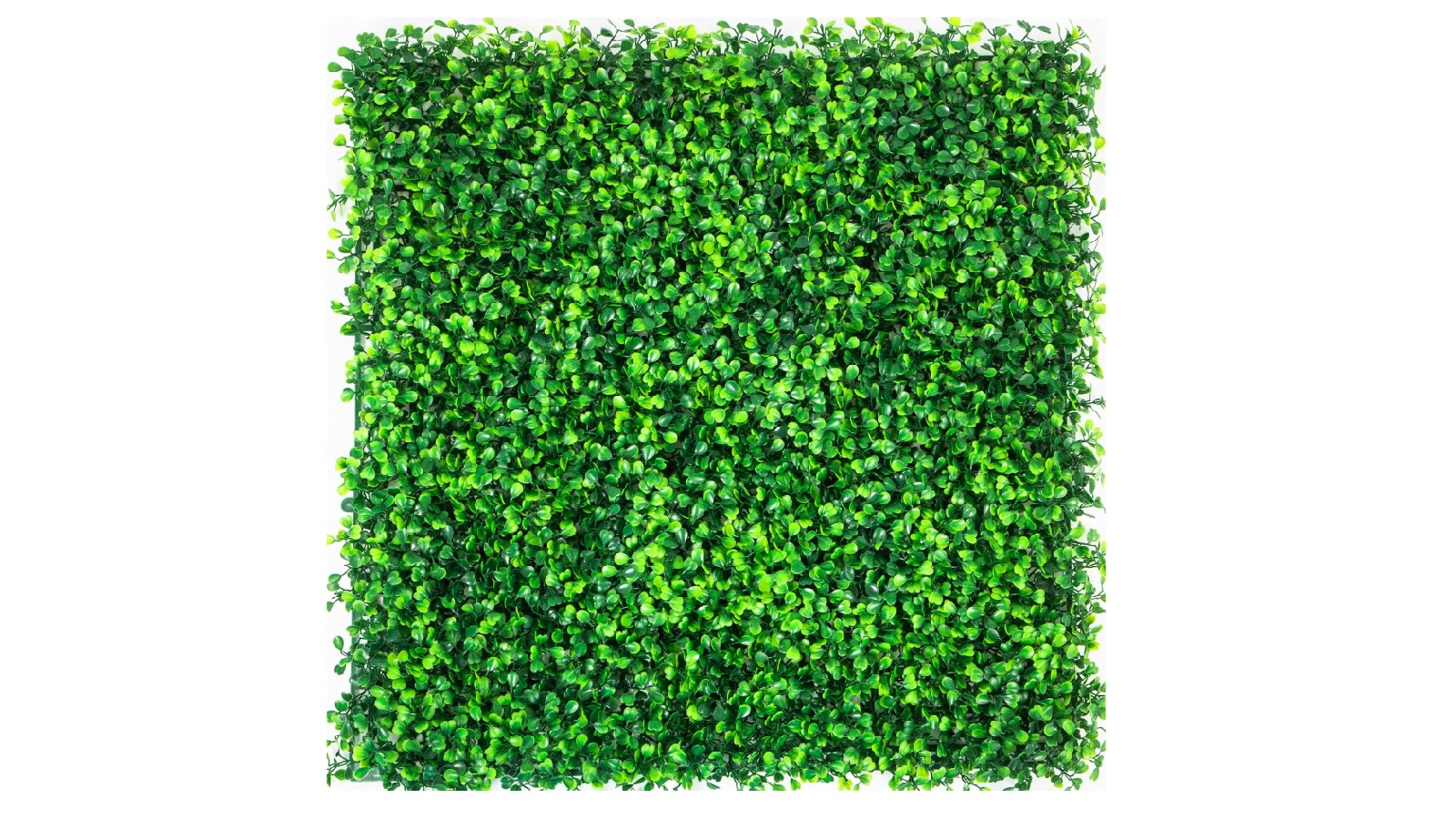 Boxwood Color Pvc Panel YS 16 Piece 50.8 x 50.8cm Artificial Boxwood Panel | Harvey Norman