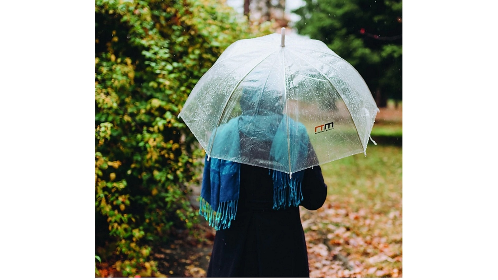 Serrano 5x Clear Transparent Umbrella Harvey Norman