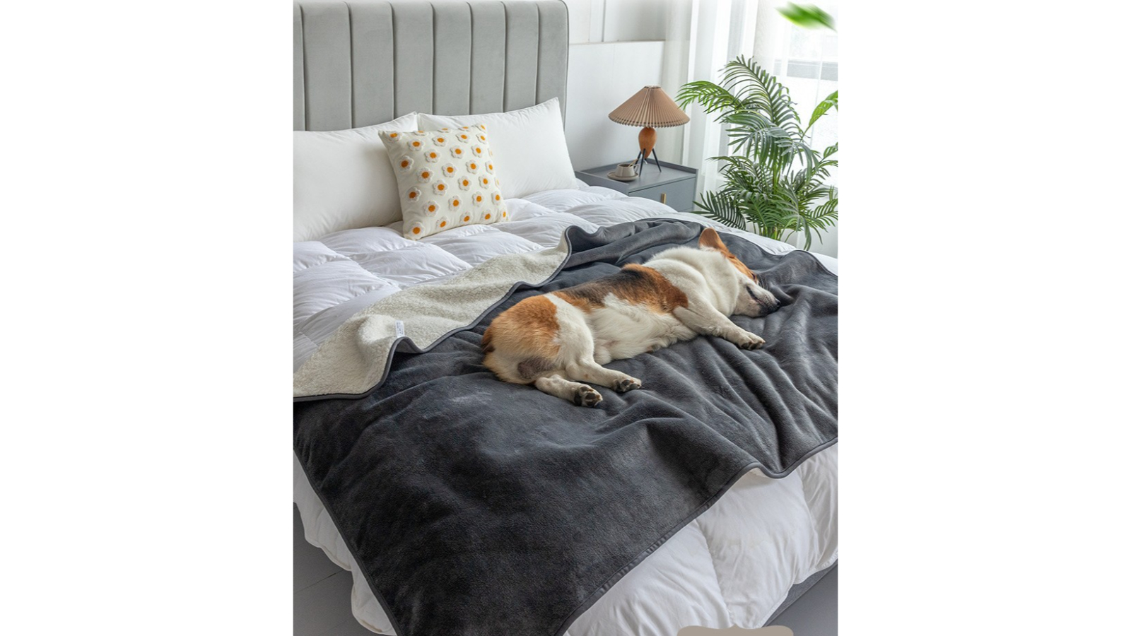 Poochmate Best Fabric For Dog Blanket Photo Blanket Blankets With