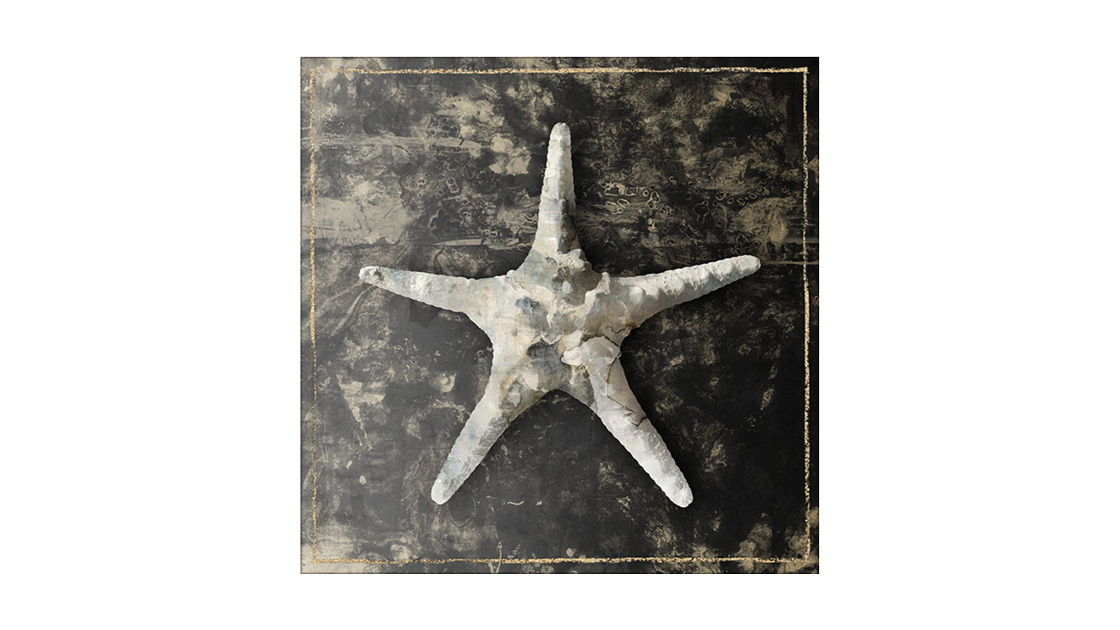 La Grolla Marble Shell Series III Unframed Canvas Wall Art