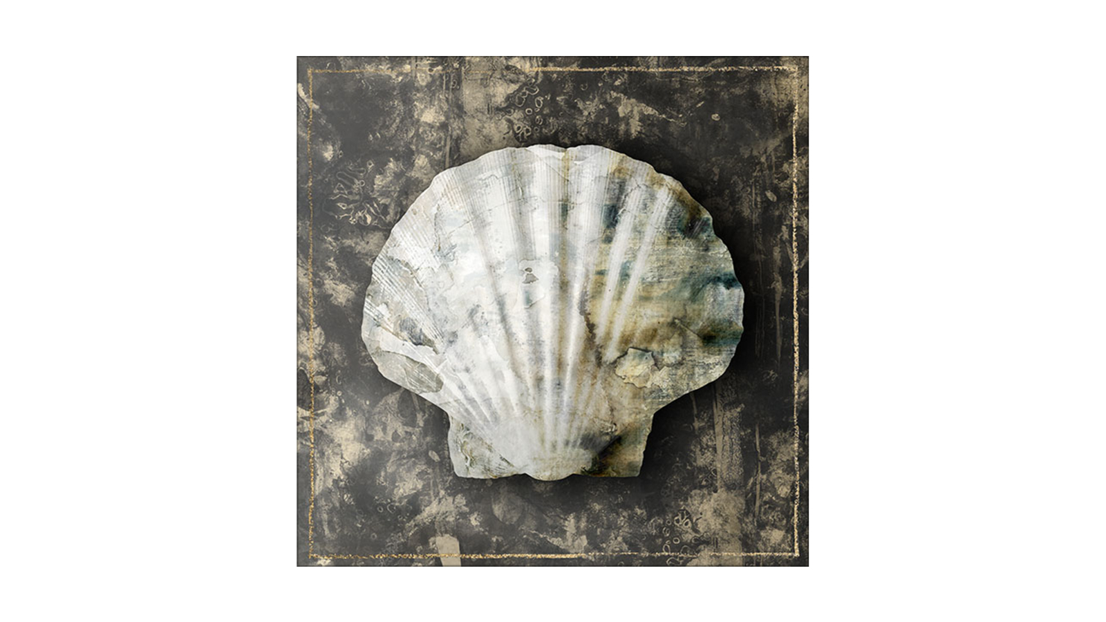 La Grolla Marble Shell Series IV Unframed Canvas Wall Art