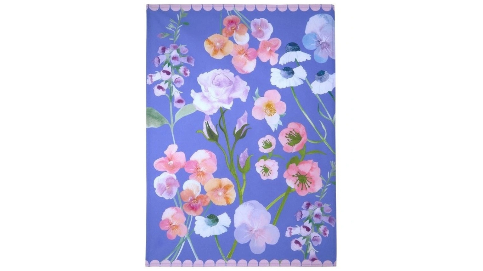 Maxwell and Williams 50 x 70 cm Affection Cotton Tea Towel with Gift ...