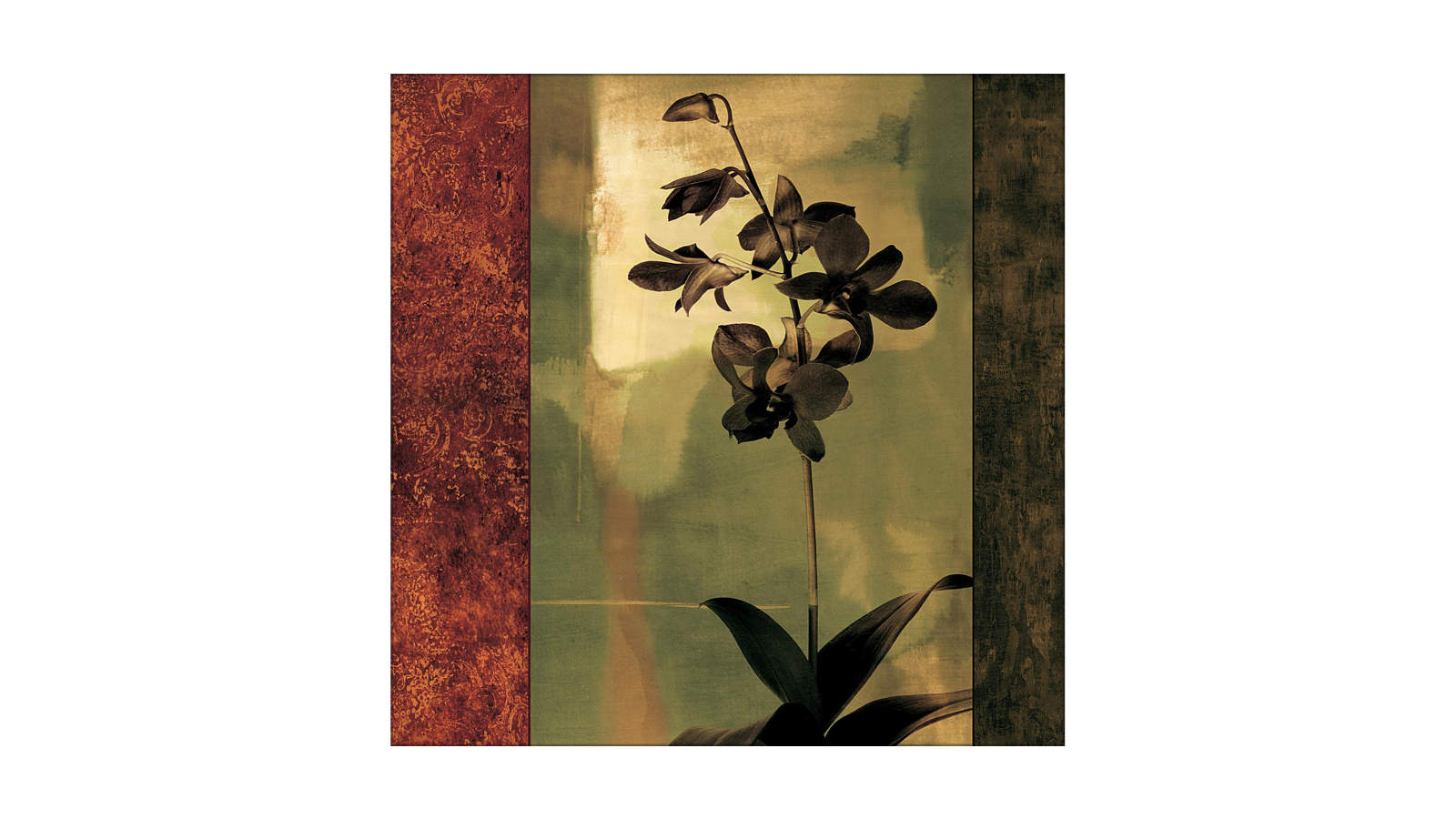 La Grolla Mesmerized II Unframed Canvas Wall Art