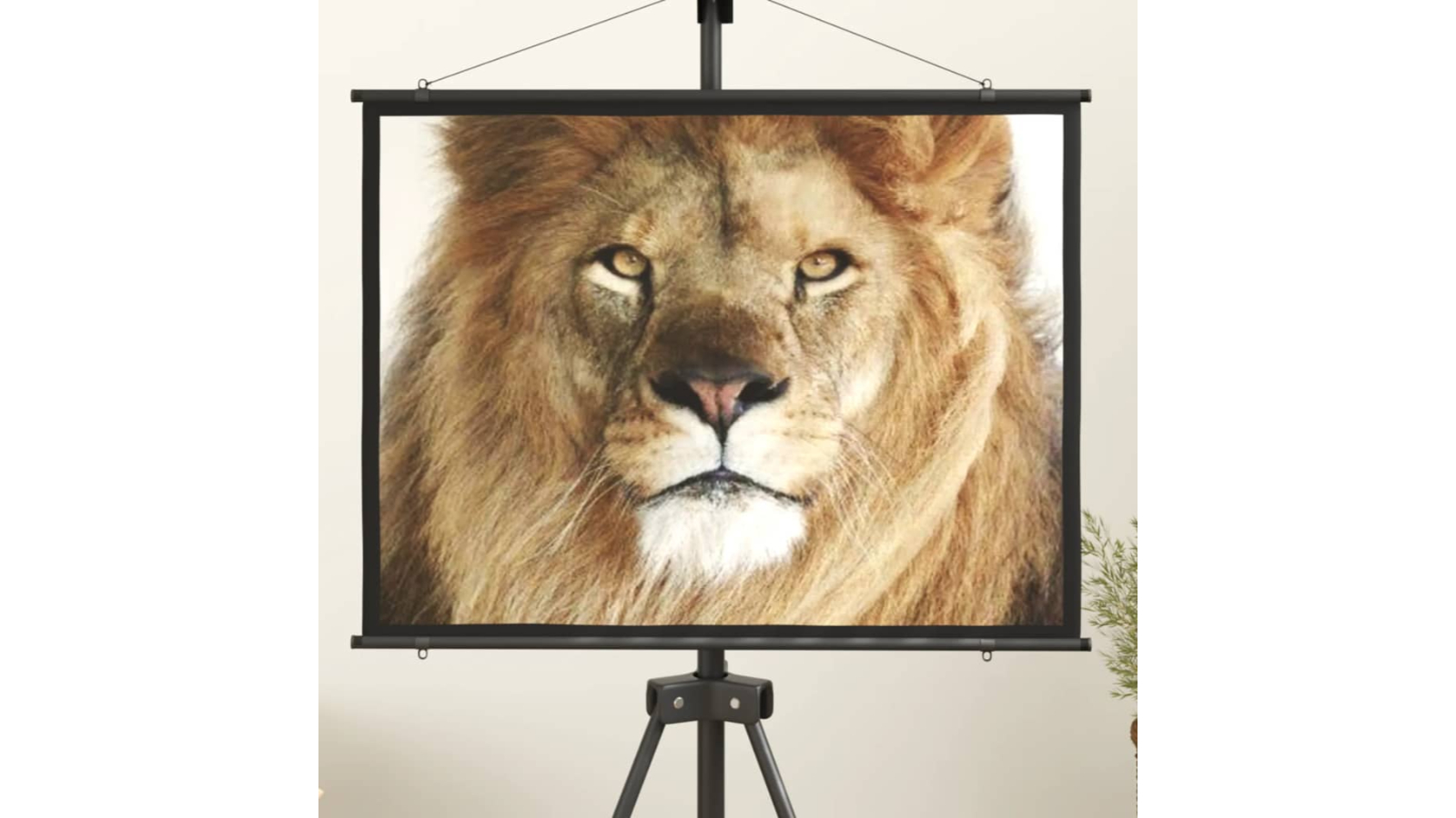 vidaXL Black Border Projection Screen 127cm Harvey Norman