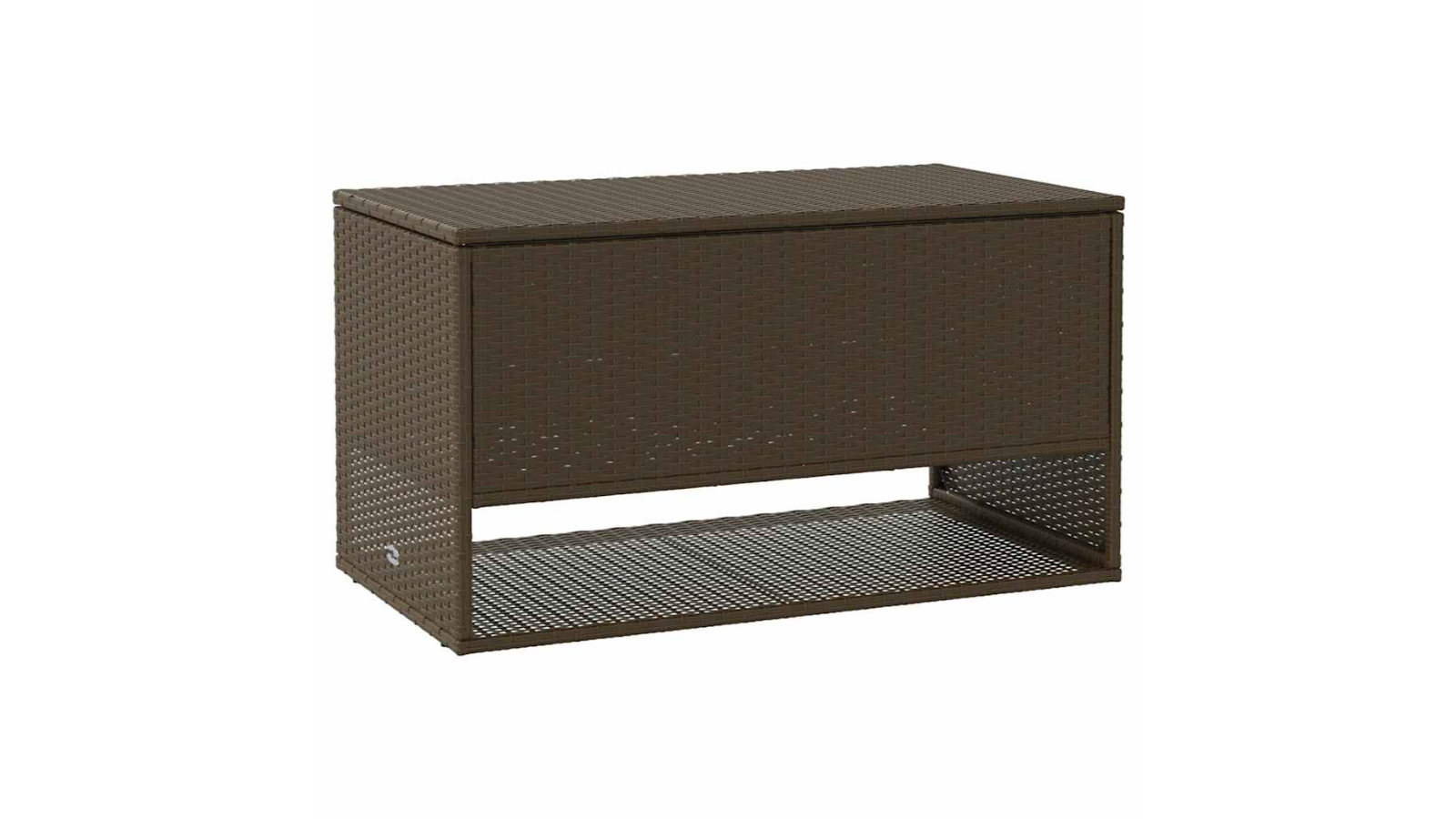 vidaXL Brown Poly Rattan 100 x 55 x 55.5cm Outdoor Cushion Box