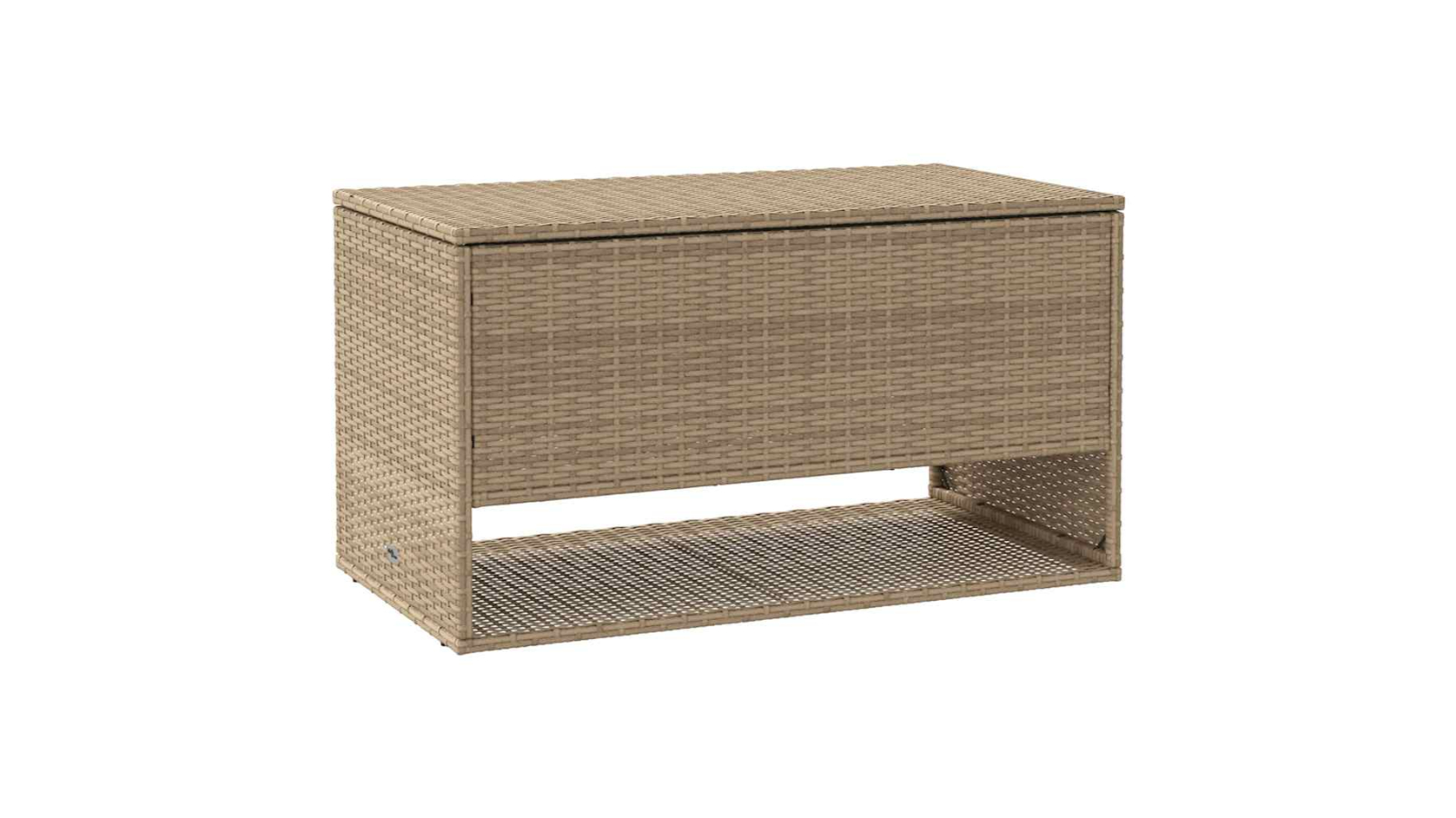 vidaXL Beige Poly Rattan 100 x 55 x 55.5cm Outdoor Cushion Box 