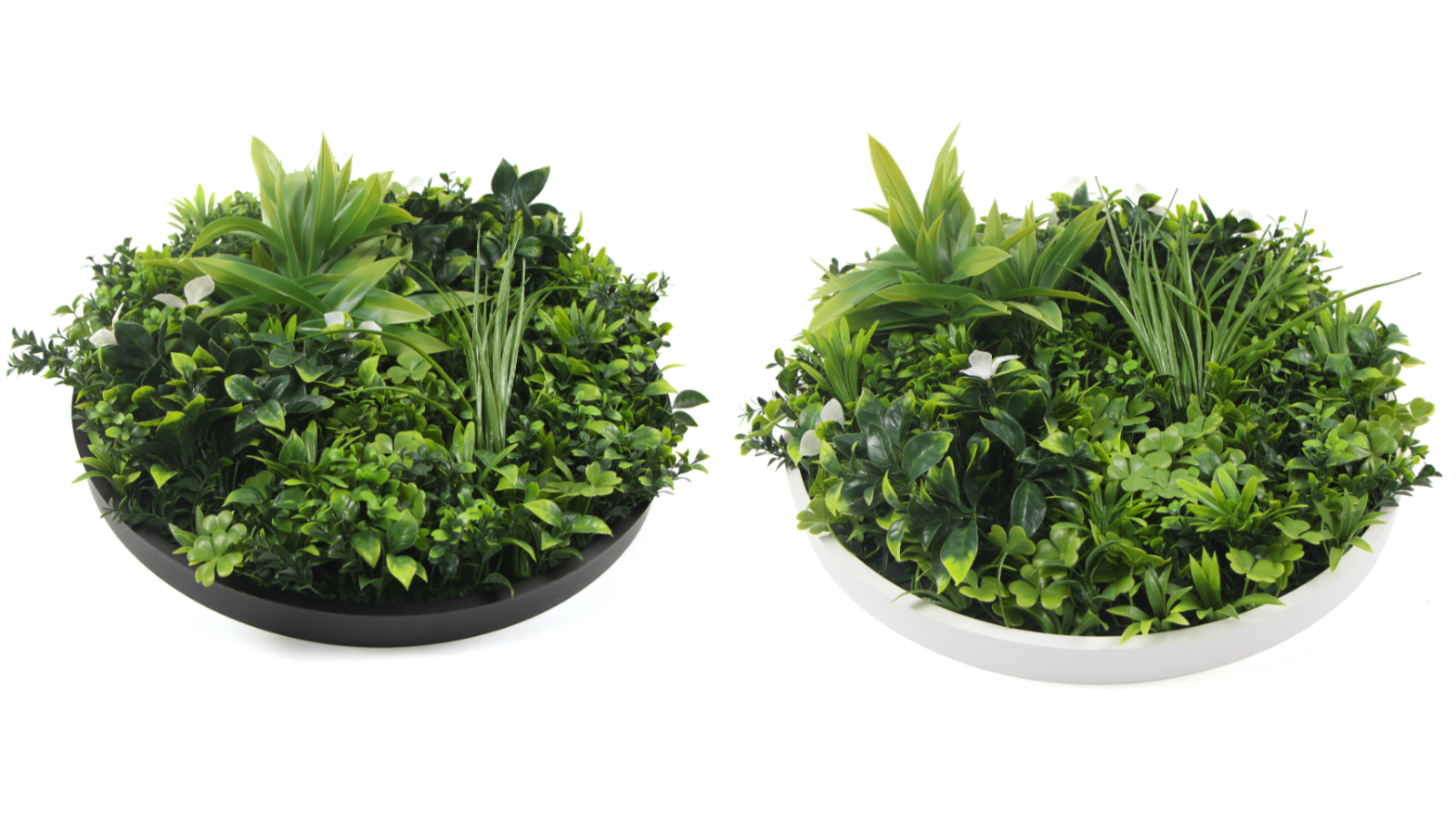 Designer Plants 100cm Slimline Flowering Artificial Green Wall Disc