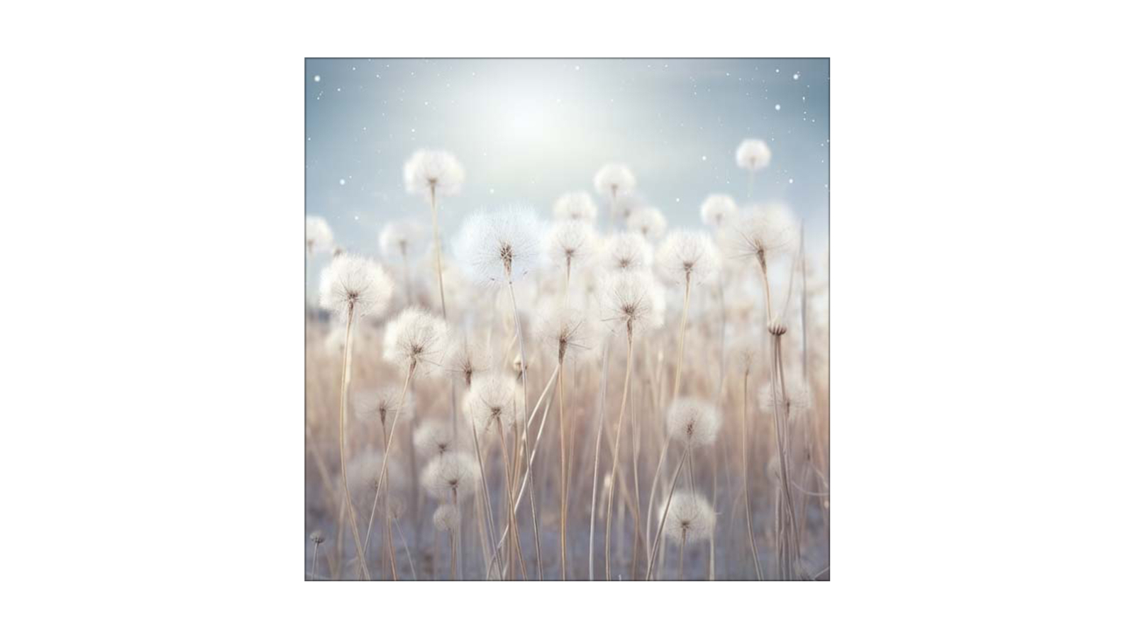 La Grolla Mystical Wild Dandelions I Unframed Canvas Wall Art
