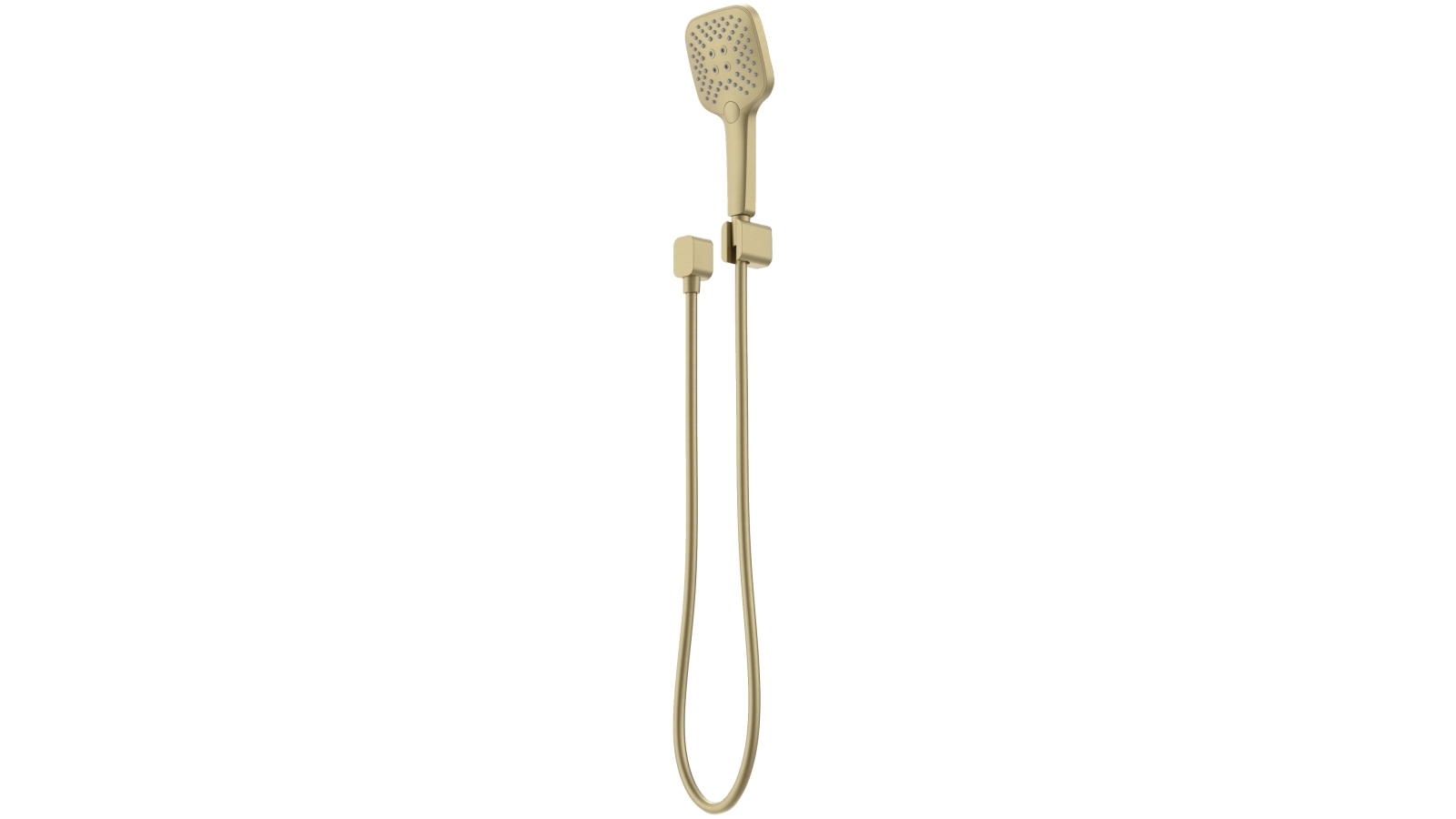 Caroma Luna Multifunction Hand Shower - Brushed Brass