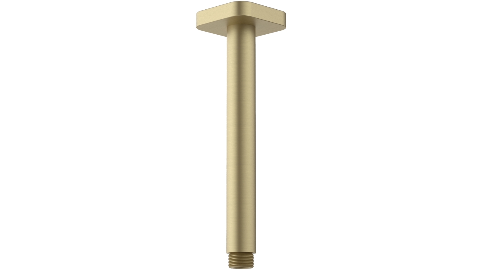 Caroma Luna 210mm Straight Arm Flange - Brushed Brass